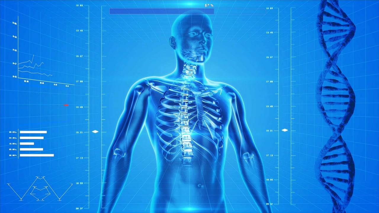 das gesundheitssystem umfasst alle institutionen, ressourcen und personen, die zur bereitstellung von gesundheitsdiensten beitragen. erfahren sie mehr über seine struktur, finanzierung und die herausforderungen, mit denen es konfrontiert ist.